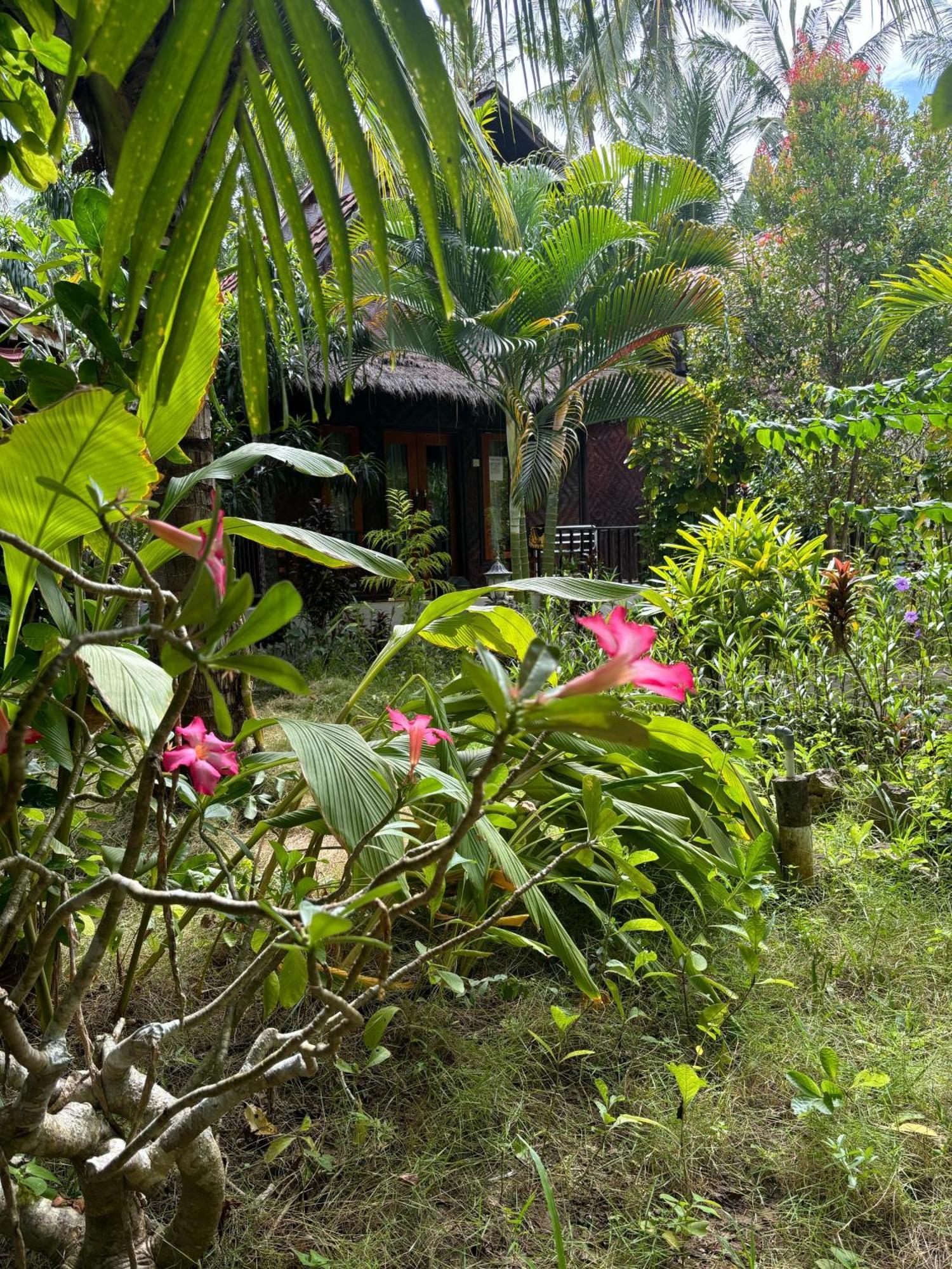 Kubu Artha Bungalow Nusa Penida Ped Bagian luar foto