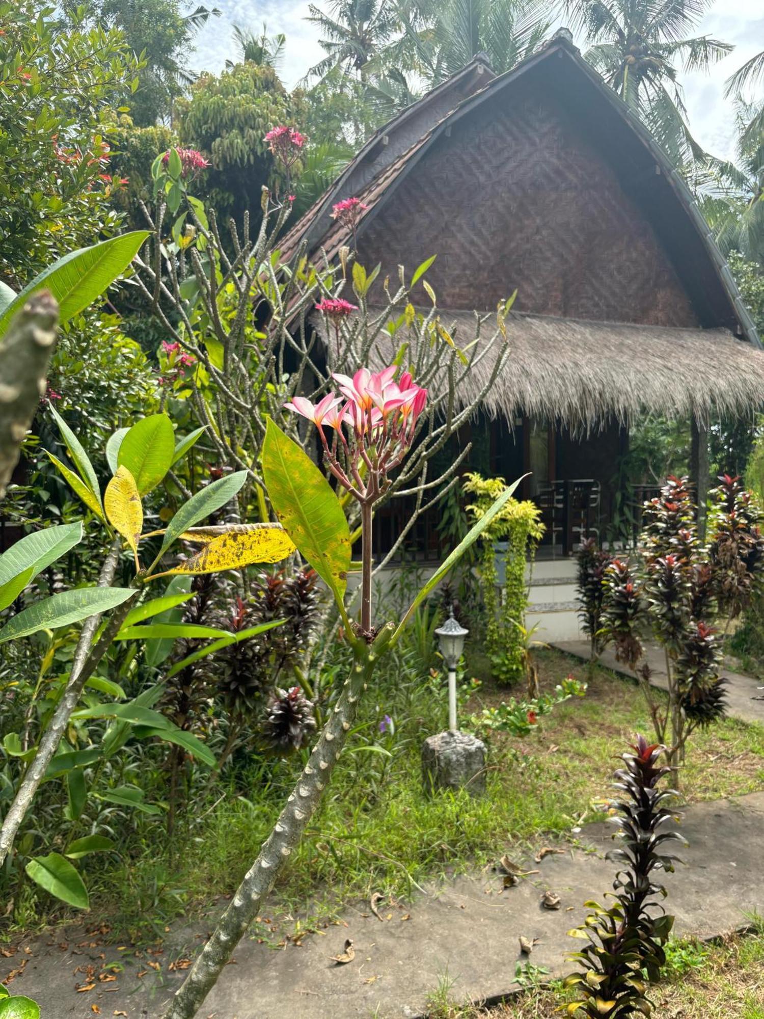 Kubu Artha Bungalow Nusa Penida Ped Bagian luar foto